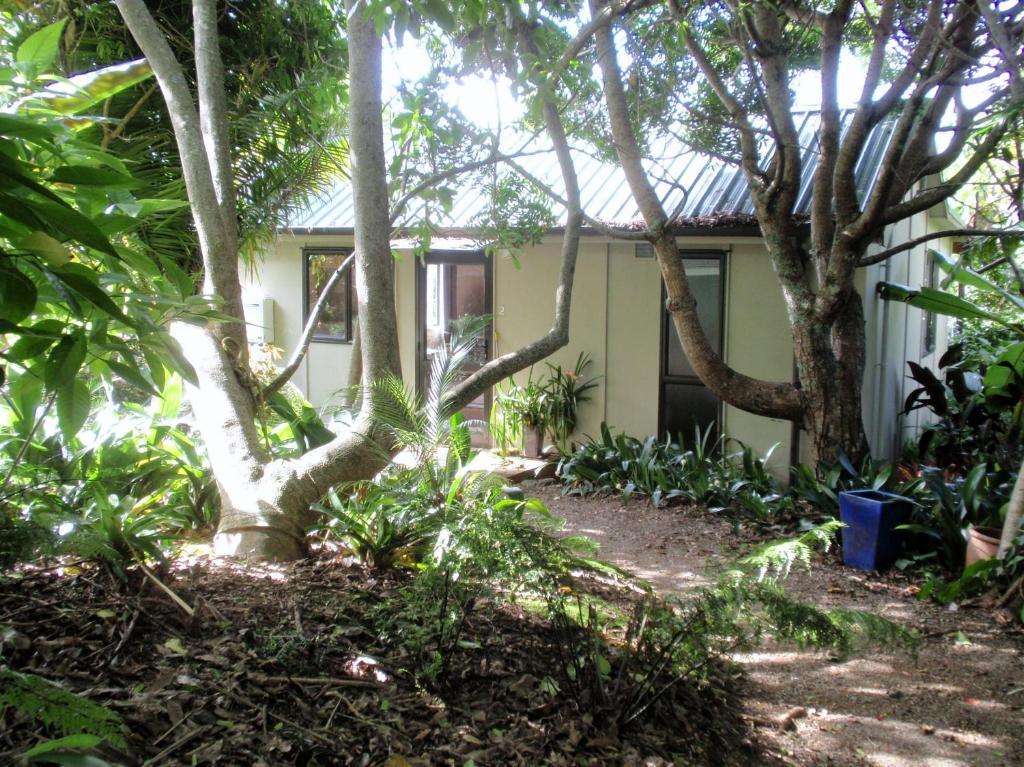 Wharepuke Subtropical Accommodation Керікері Номер фото