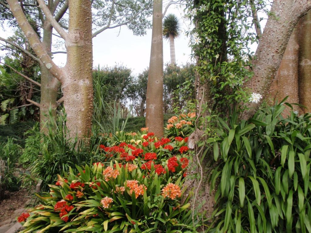 Wharepuke Subtropical Accommodation Керікері Екстер'єр фото