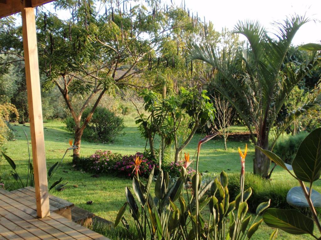 Wharepuke Subtropical Accommodation Керікері Номер фото