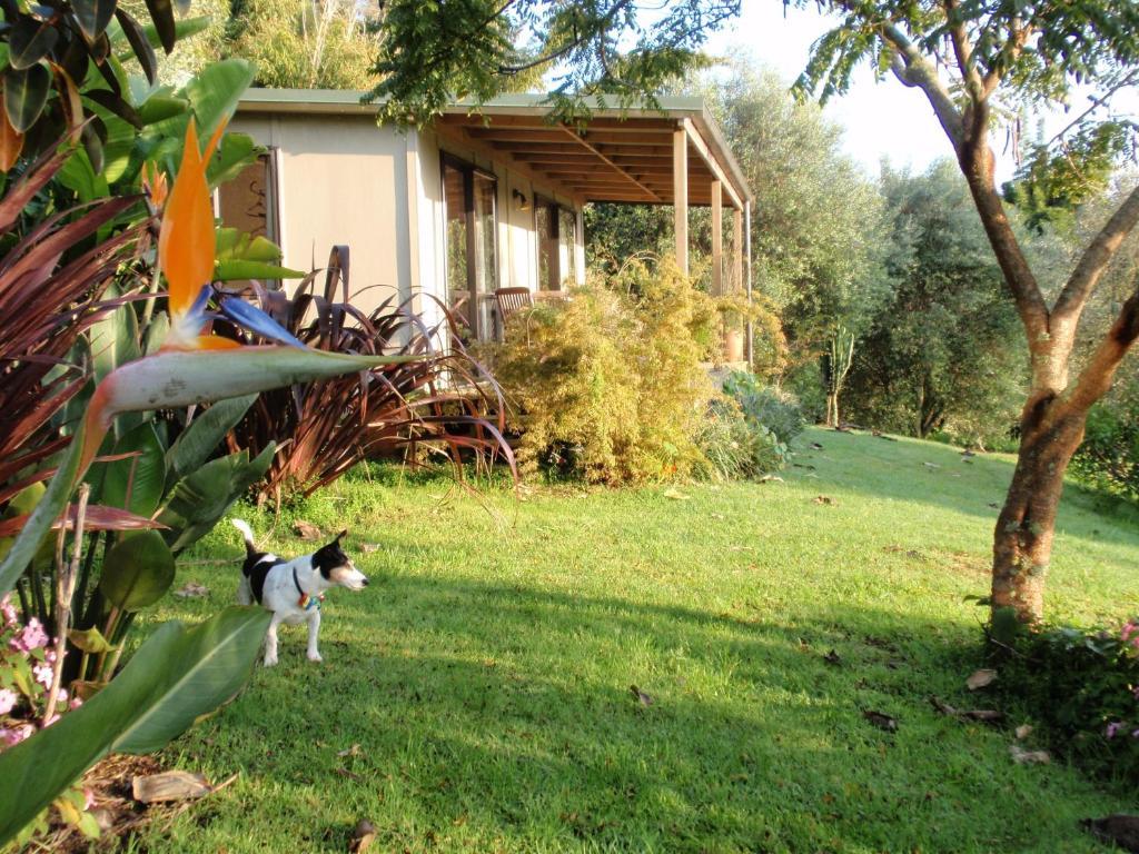 Wharepuke Subtropical Accommodation Керікері Номер фото