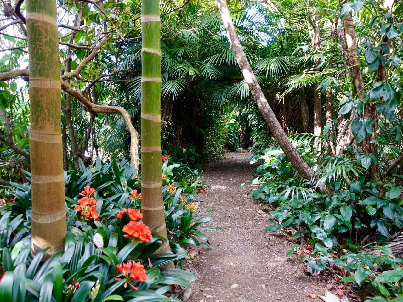 Wharepuke Subtropical Accommodation Керікері Екстер'єр фото